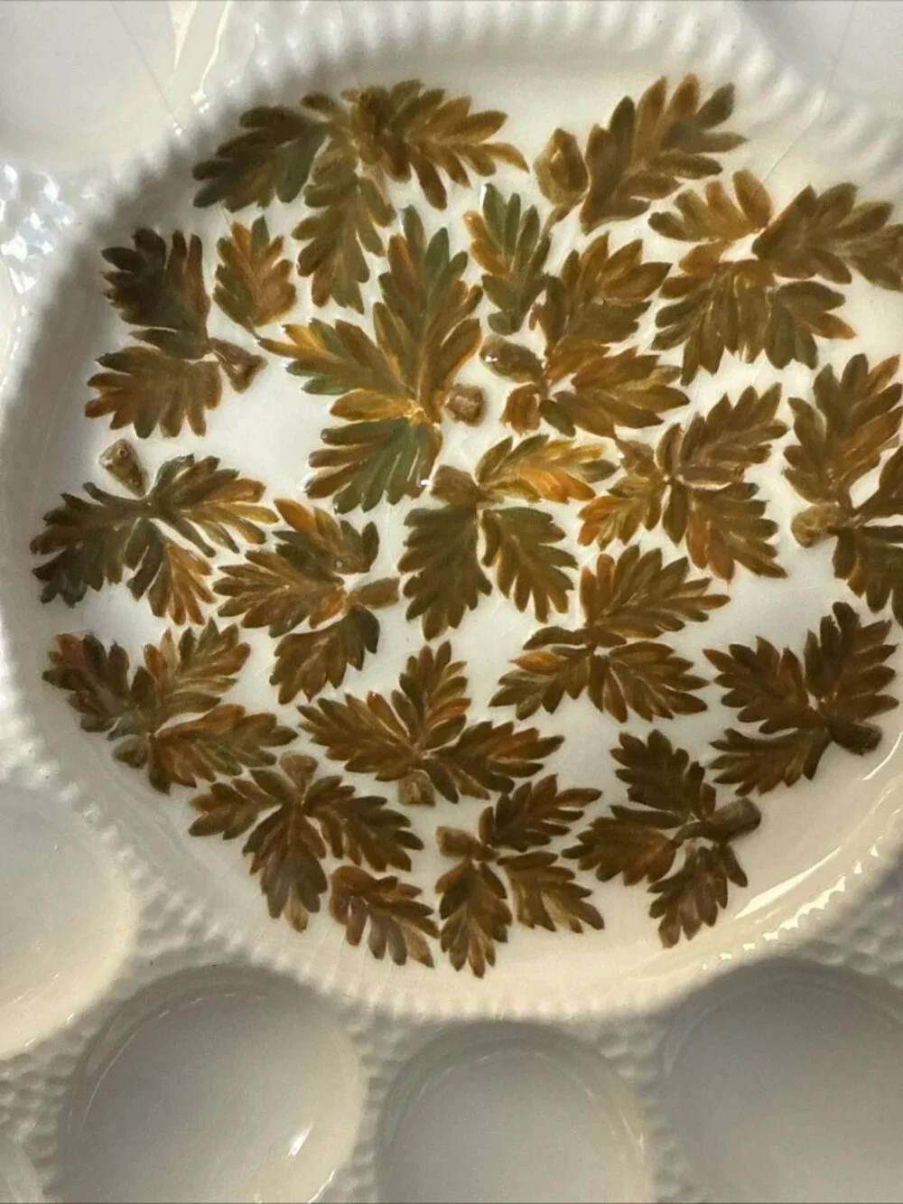 Vintage Thanksgiving Autumn Leaf Deviled Egg Platter Holds 24 eggs 13